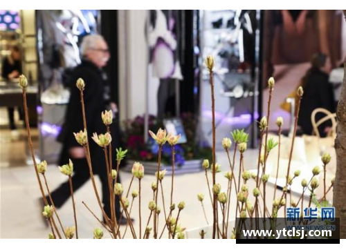 纽约梅西百货：璀璨年度花展